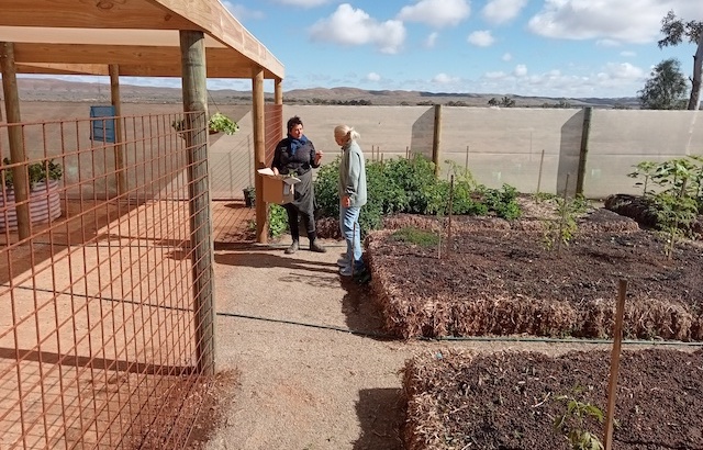 Y3Ewb Community gardens Australia food forests